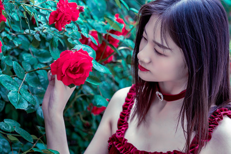 焦点访谈丨良田+良种+良机+良法 来看各地保丰收秘籍